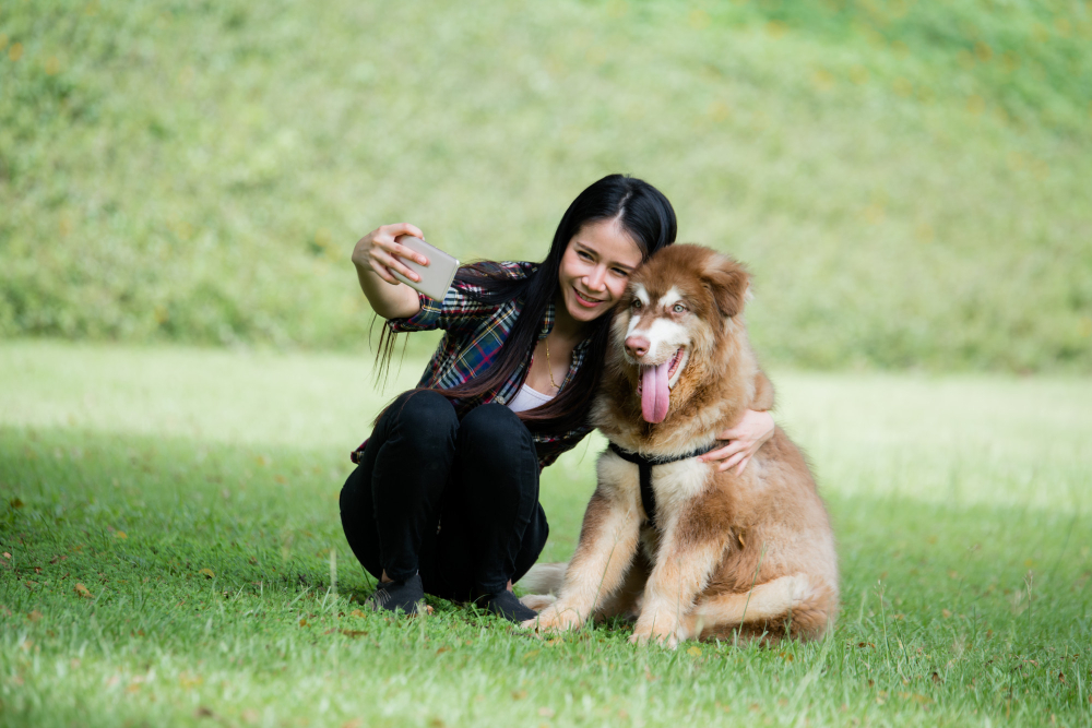 Dog Friendly Cottages — holiday cottages on Exmoor