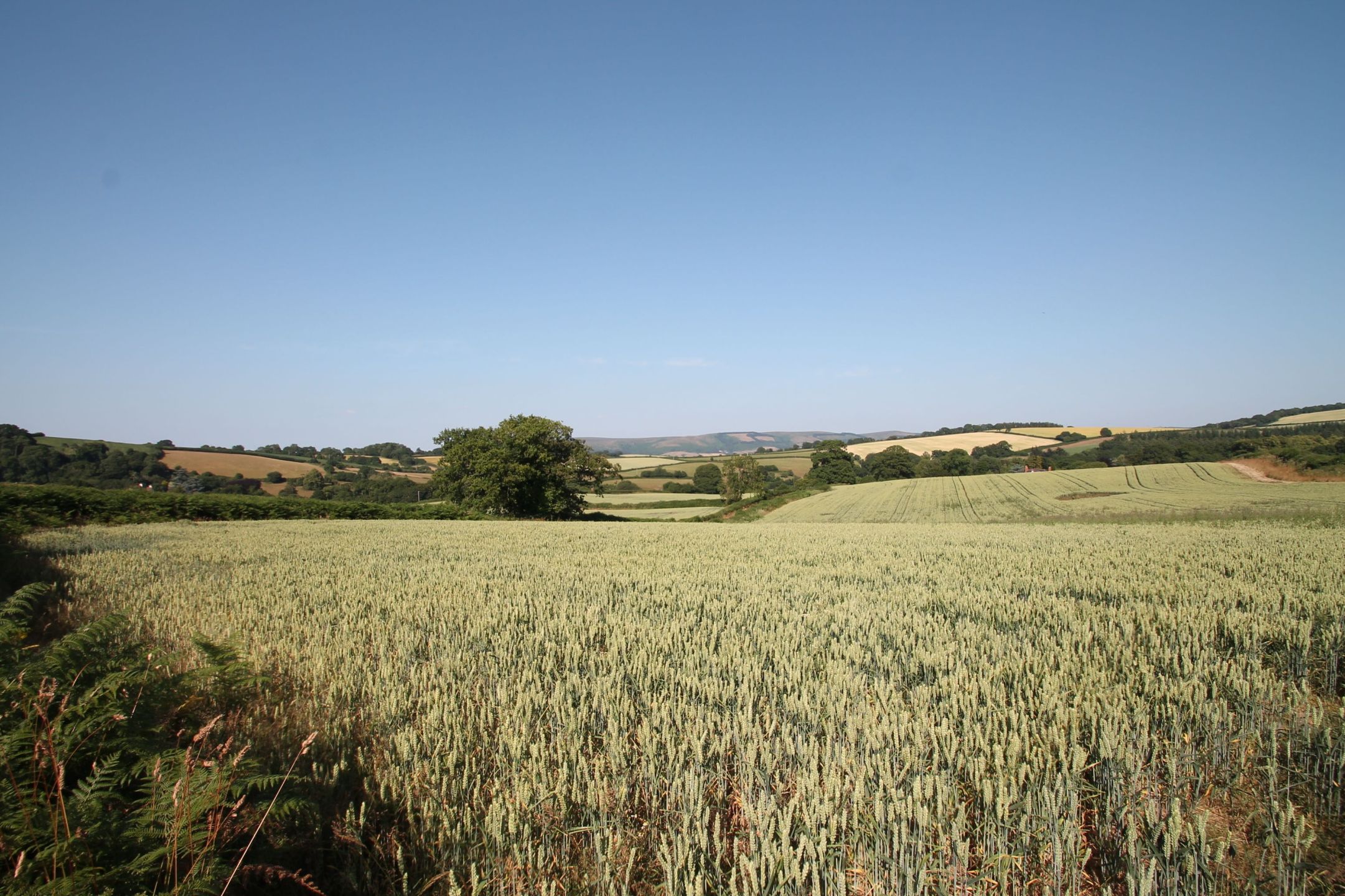 Exmoor holiday cottage scenery
